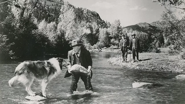 Photo du film : Le Maître de Lassie