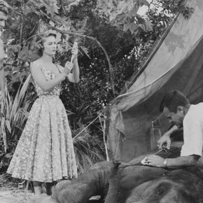 Photo du film : Tarzan chez les Soukoulous