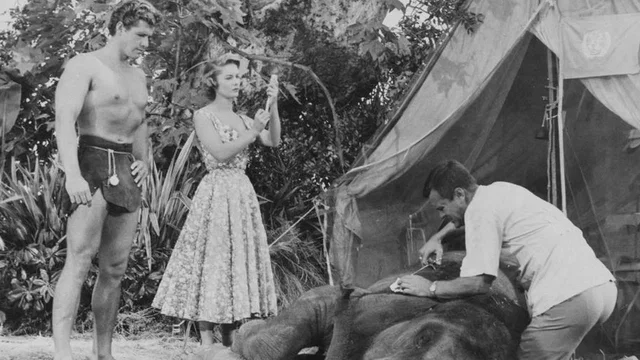 Photo 2 du film : Tarzan chez les Soukoulous