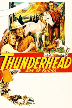 Affiche du film Le Fils de Flicka - Thunderhead