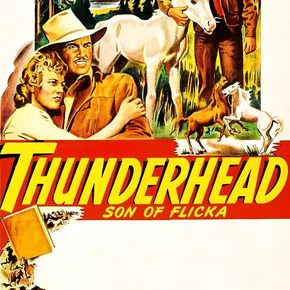 Photo du film : Le Fils de Flicka - Thunderhead