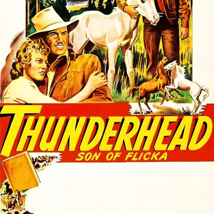 Miniature photo du film : Le Fils de Flicka - Thunderhead