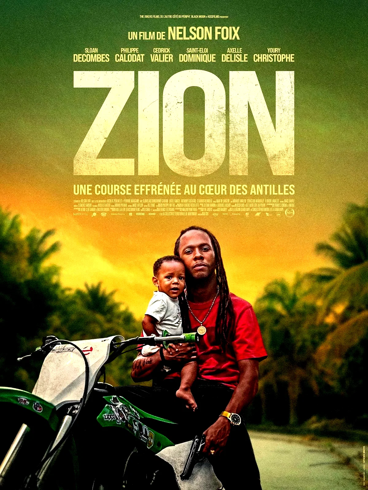 Affiche du film : Zion