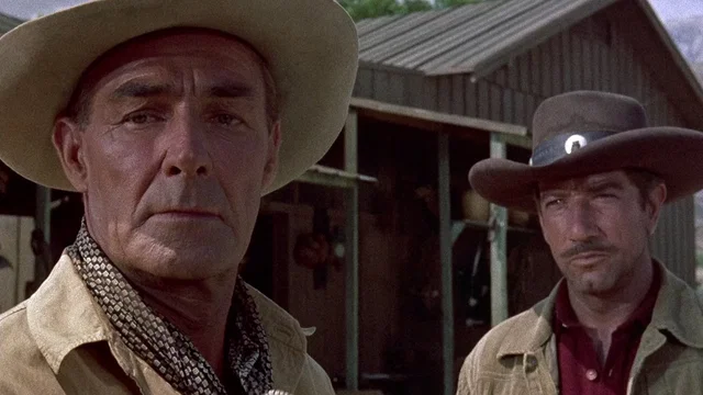 Photo 3 du film : L'Homme De l'Arizona