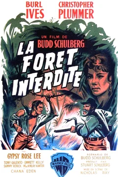 Affiche du film La Forêt interdite