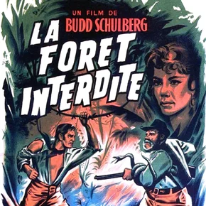 Photo du film : La Forêt interdite