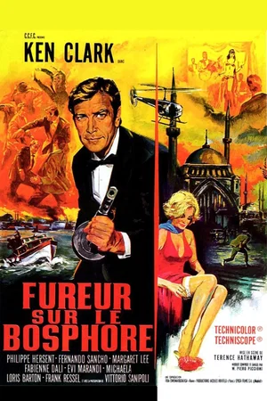 Affiche du film : Fureur sur le Bosphore