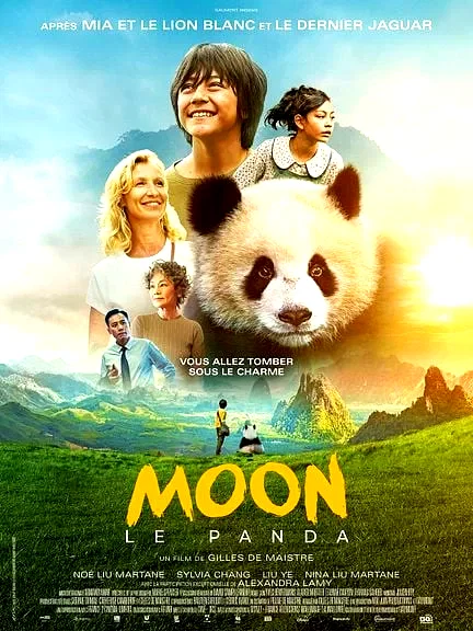 Affiche du film : Moon le Panda