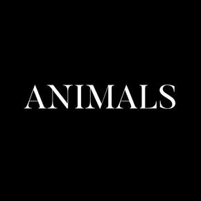 Photo du film : Animals