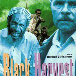 Photo du film : Black Harvest