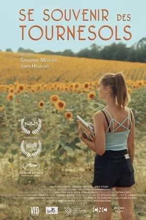 Affiche du film : Se souvenir des tournesols