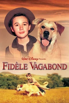 Affiche du film Fidèle vagabond