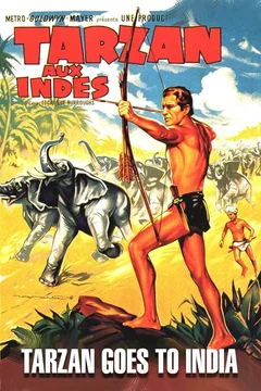 Affiche du film Tarzan aux Indes