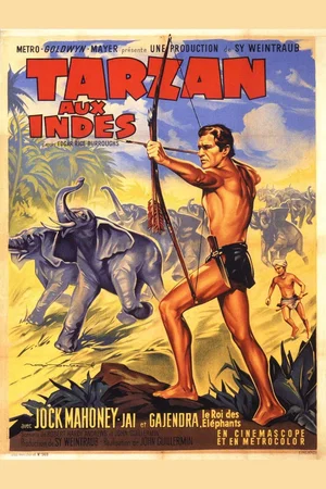 Photo 2 du film : Tarzan aux Indes