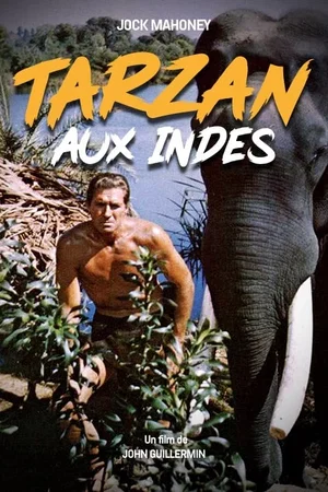Photo 3 du film : Tarzan aux Indes