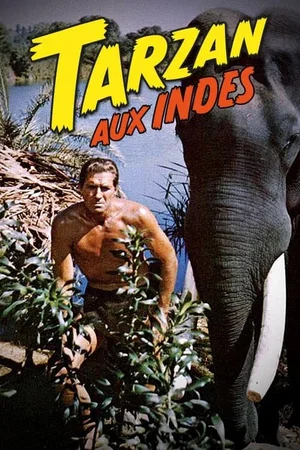 Photo 4 du film : Tarzan aux Indes