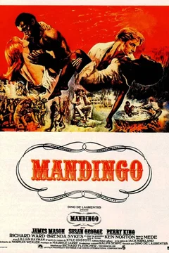 Affiche du film Mandingo