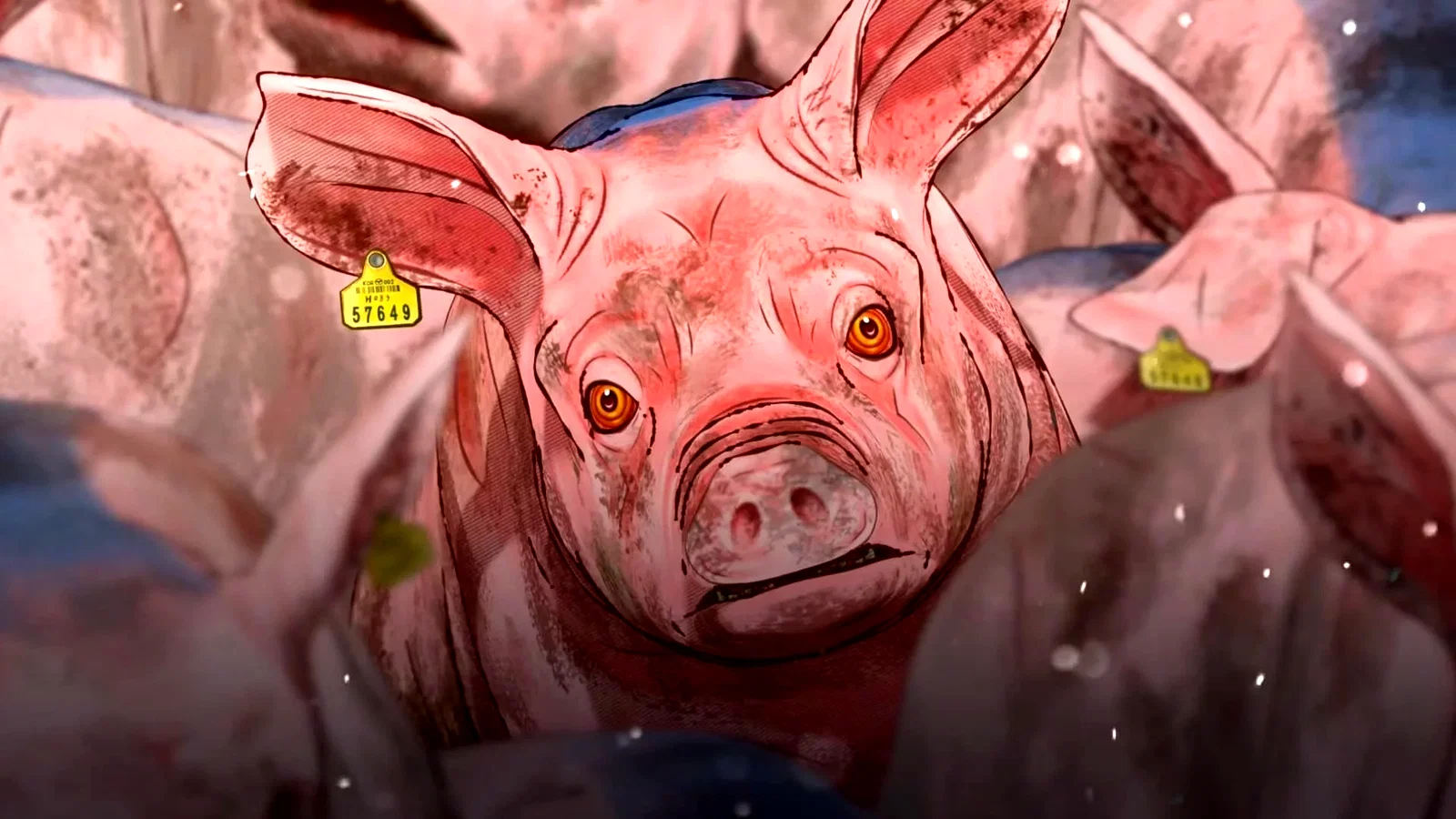 Photo du film : Pig That Survived Foot-and-Mouth Disease