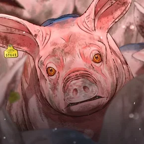 Photo du film : Pig That Survived Foot-and-Mouth Disease