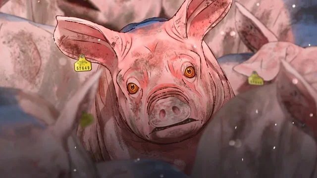 Photo 2 du film : Pig That Survived Foot-and-Mouth Disease