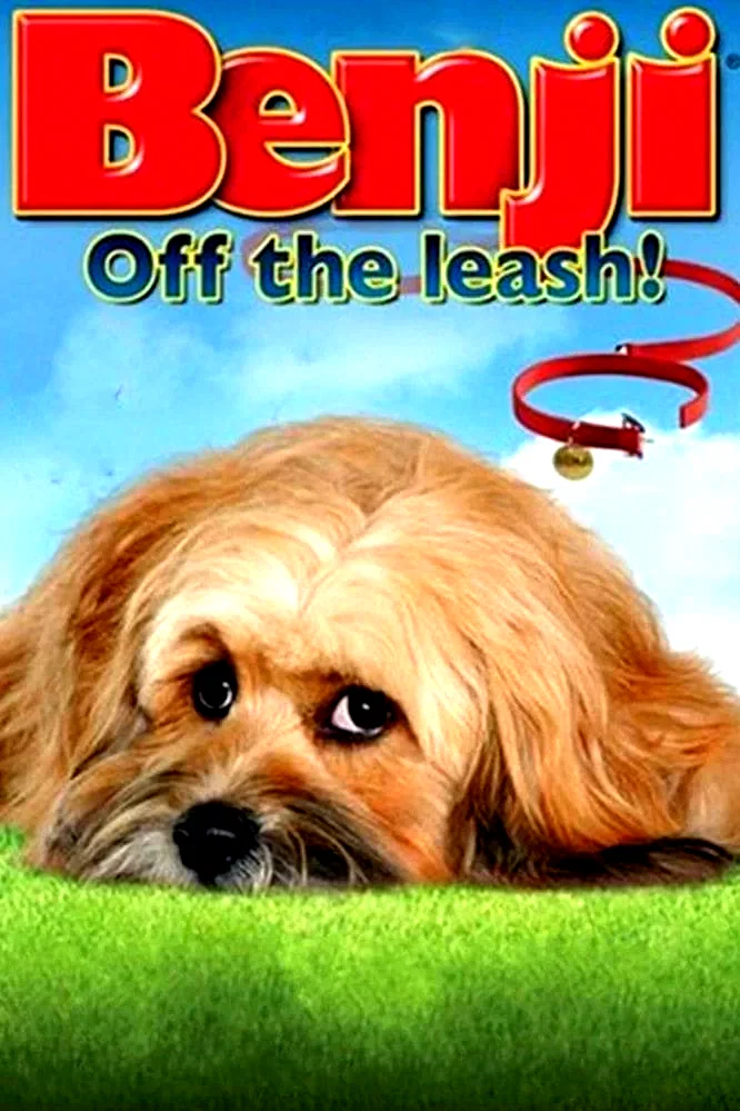 Affiche du film : Benji: Off the Leash!