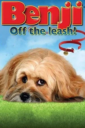 Affiche du film : Benji: Off the Leash!