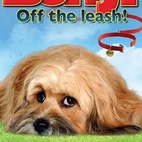 Photo du film : Benji: Off the Leash!