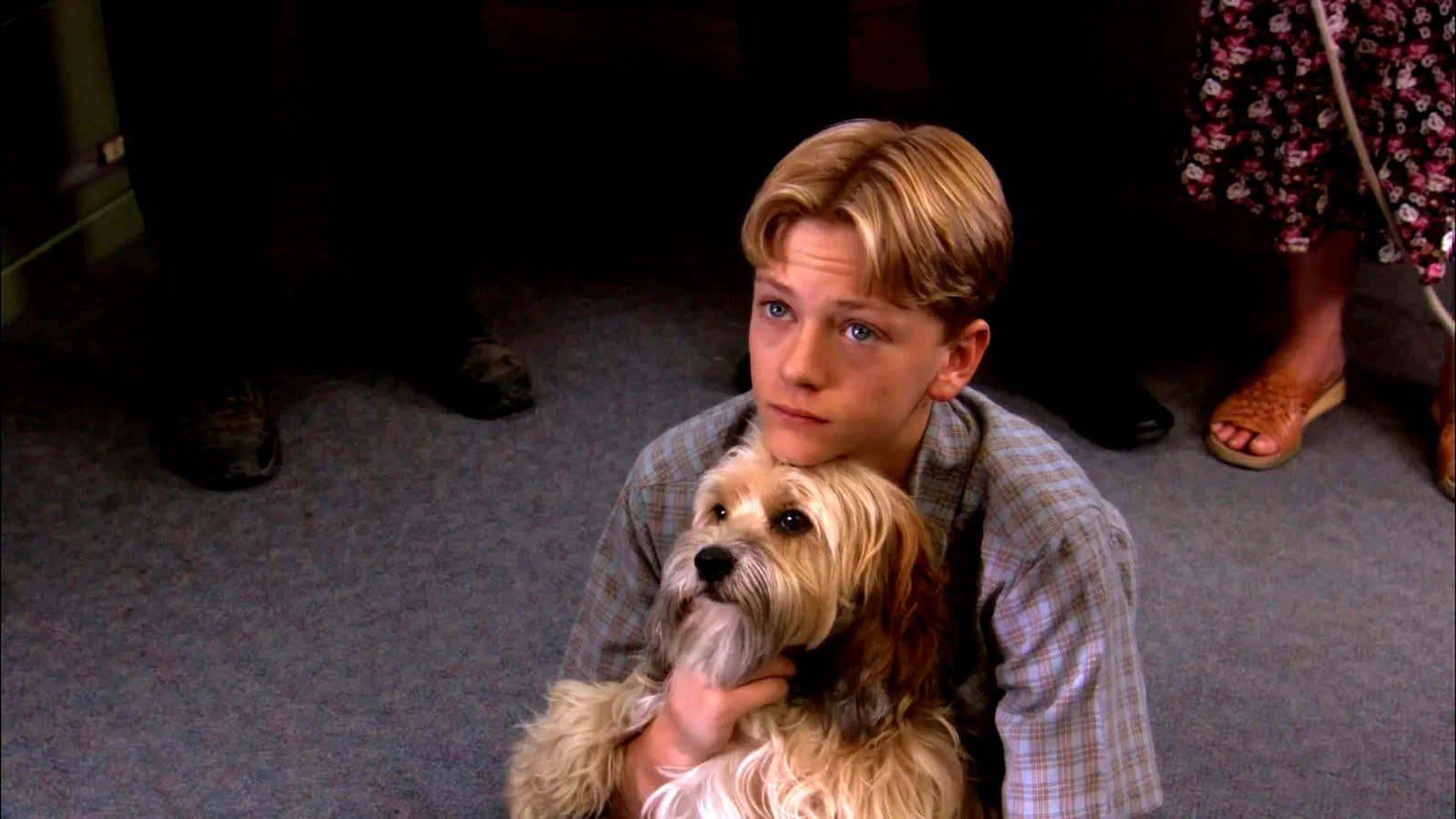 Photo 2 du film : Benji: Off the Leash!