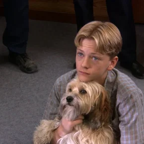 Photo du film : Benji: Off the Leash!