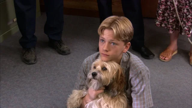 Photo 2 du film : Benji: Off the Leash!