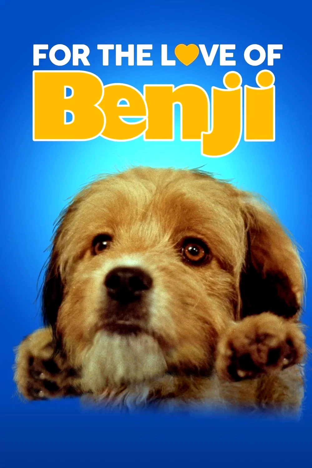 Affiche du film : For the Love of Benji