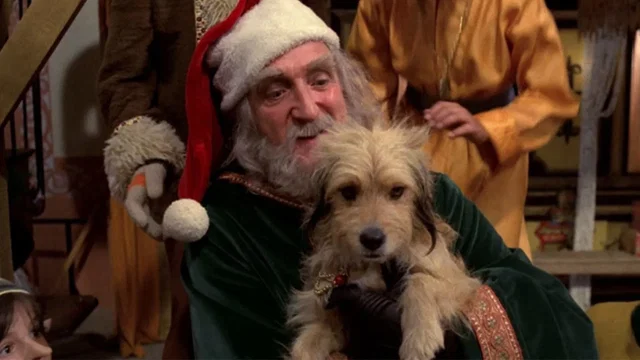 Photo du film : Le Noël de Benji