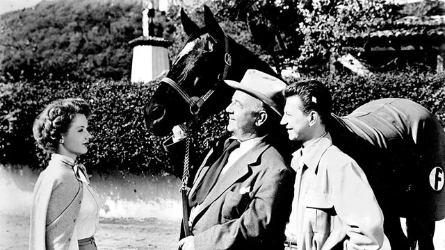 Photo 2 du film : Francis Couvre la Big Town
