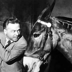 Photo du film : Francis dans la Maison Hantée