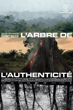 Affiche du film L’arbre de l’authenticité