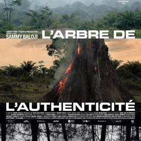 Photo du film : L’arbre de l’authenticité