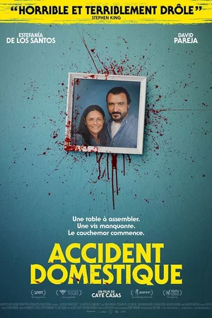 Affiche du film : Accident domestique
