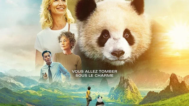 Affiche du film : Moon le Panda