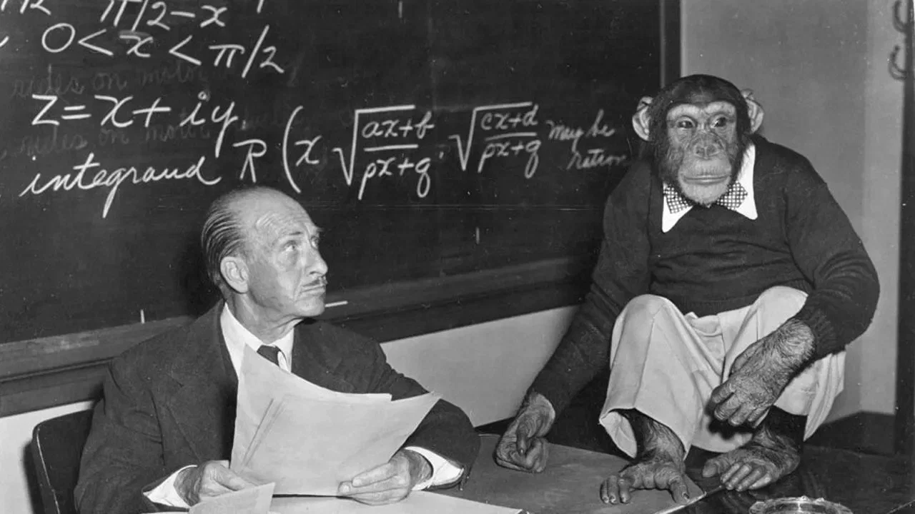 Photo du film : Bonzo Goes to College