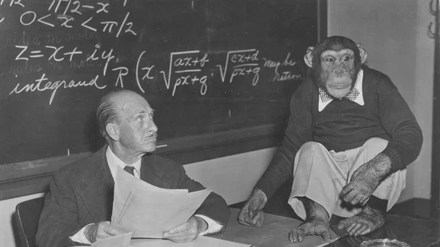 Photo 2 du film : Bonzo Goes to College