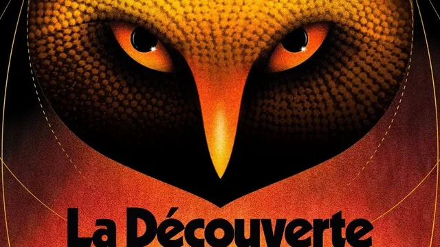 Affiche du film : La découverte de la chouette d'or