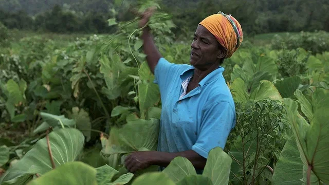 Photo du film : Tu crois que la terre est chose morte