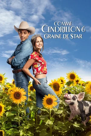 Affiche du film : Comme Cendrillon 6 : Graine De Star