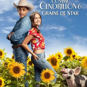 Photo du film : Comme Cendrillon 6 : Graine De Star