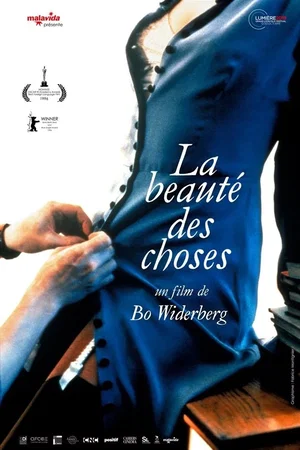 Affiche du film : La Beauté des choses