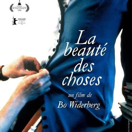 Miniature photo du film : La Beauté des choses
