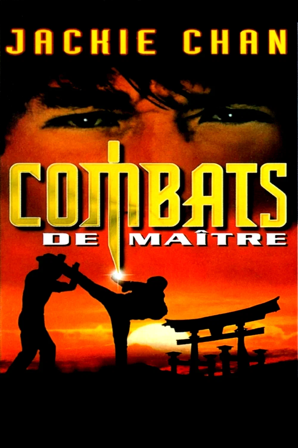 Affiche du film : Combats de maître