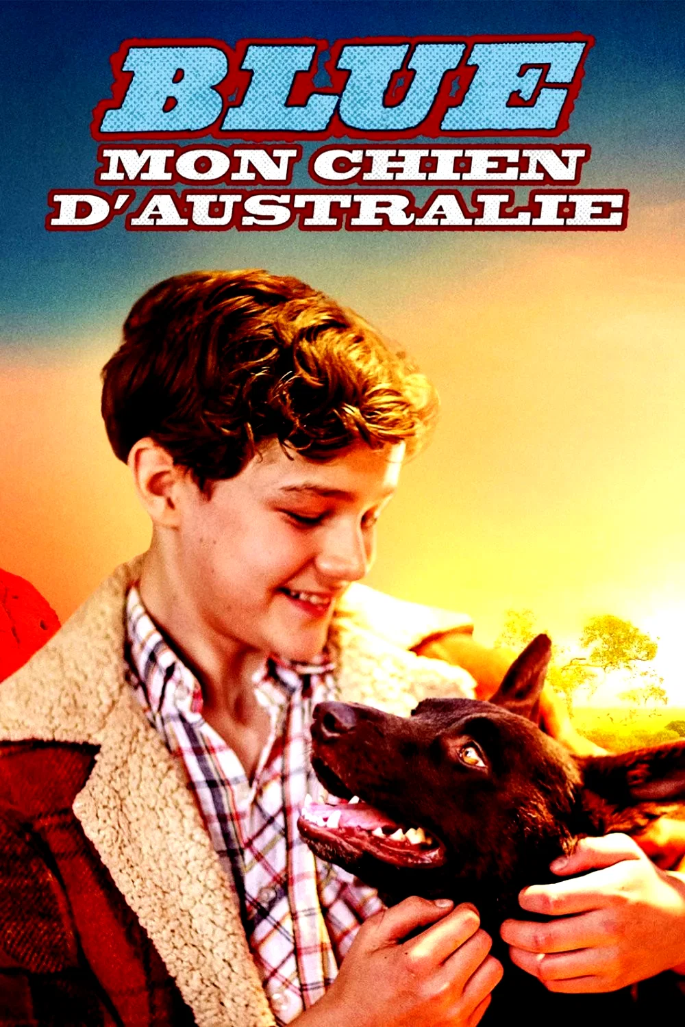 Photo du film : Blue, mon chien d'Australie