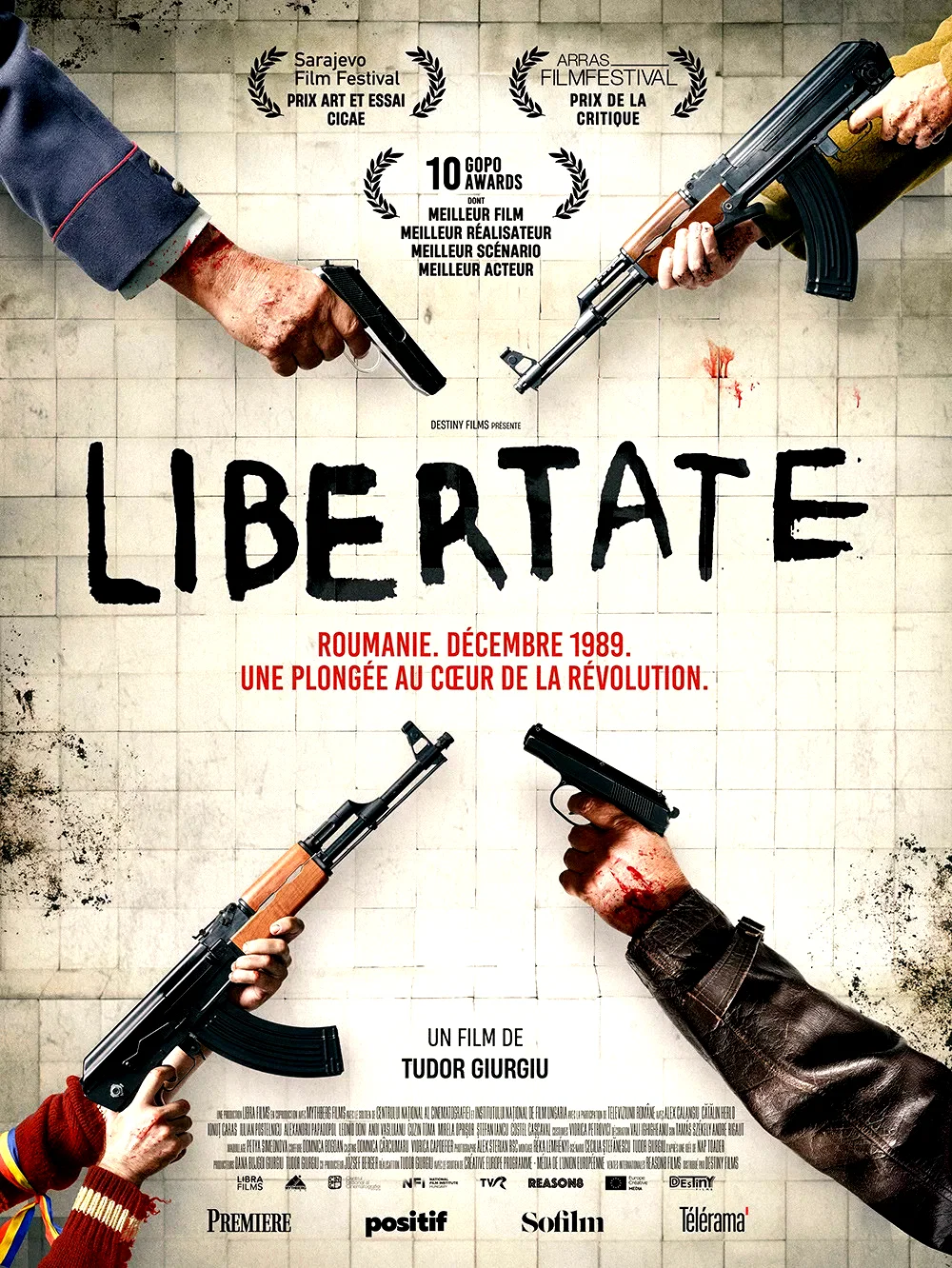 Affiche du film : Libertate