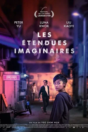 Affiche du film : Les Étendues imaginaires